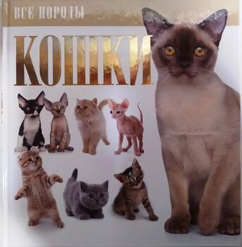 Кошки. Все породы