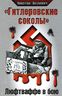 "Гитлеровские соколы". Люфтваффе в бою